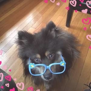 Meet your Posher, Fermina